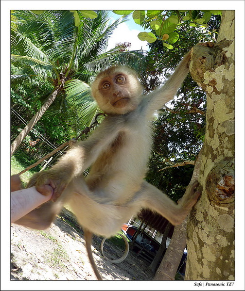 2012 - 03 - Koh Lanta 17